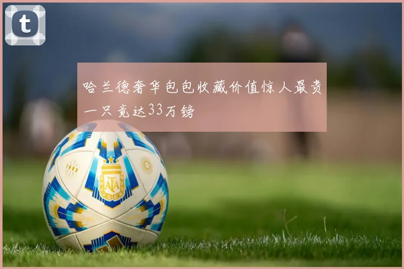 哈兰德奢华包包收藏价值惊人最贵一只竟达33万镑
